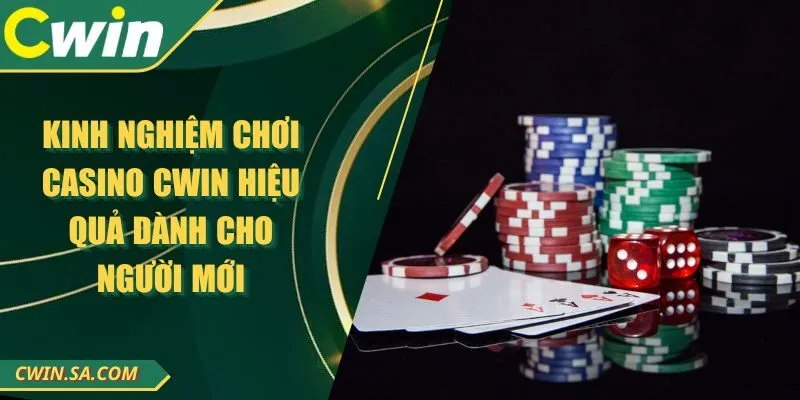 Kinh Nghiệm Chơi Casino CWIN Hiệu Quả Dành Cho Người Mới